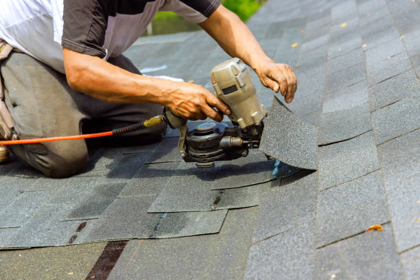 istockphoto-2166940007-612×612